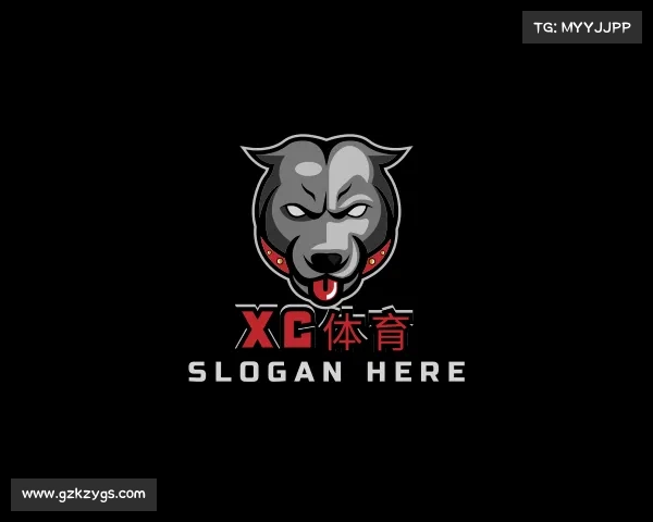 介绍xc体育